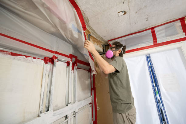 Professional Mold Inspection, Removal & Remediation in Olympia, SC